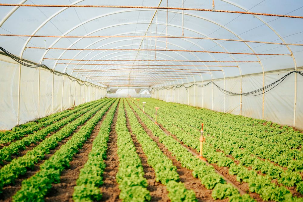 Agricoltura sostenibile in Albania